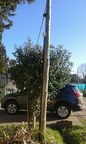 IMG-20150914-WA0017